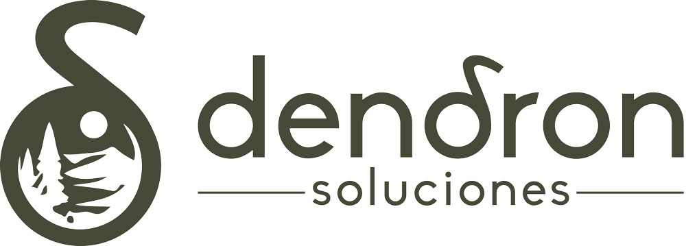 Soluciones Linea