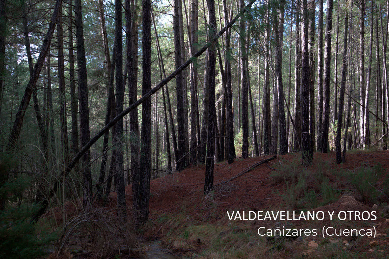 Imagen2