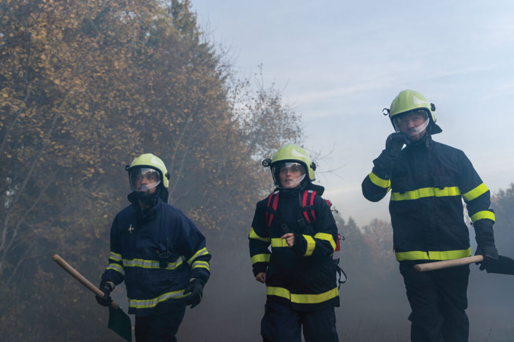 prevenciรณn de incendios forestales