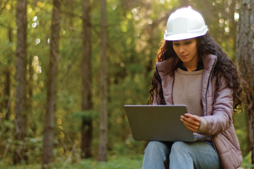 trabajos de silvicultura y reforestaciรณn