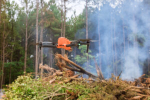 Descubre cómo los servicios forestales reducen los costes