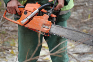 Certificación forestal Cuál es el impacto en el mercado de obtener una certificación forestal