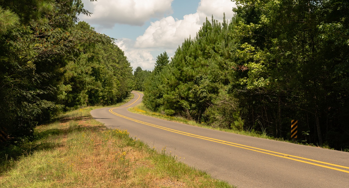 Long Windy Road Through National Forest Land USA North America